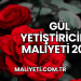 Gül Yetiştiriciliği Maliyeti 2025
