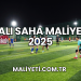 Halı Saha Maliyeti 2025