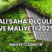 Halı Saha Ölçüleri ve Maliyeti 2025