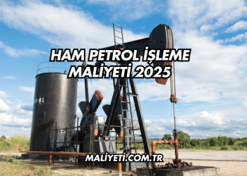 Ham Petrol İşleme Maliyeti 2025