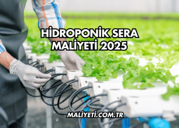 Hidroponik Sera Maliyeti 2025