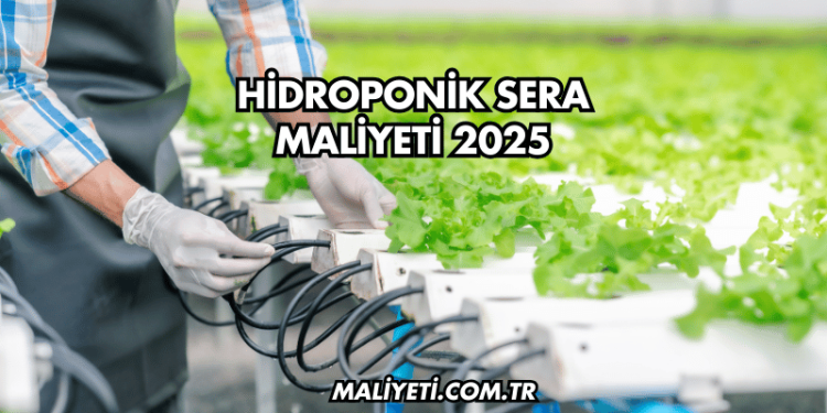 Hidroponik Sera Maliyeti 2025