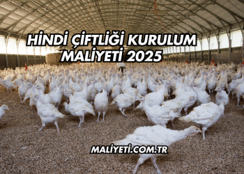Hindi Çiftliği Kurulum Maliyeti 2025
