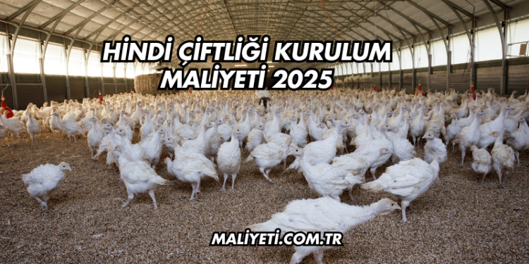 Hindi Çiftliği Kurulum Maliyeti 2025