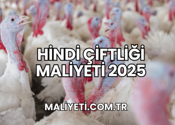Hindi Çiftliği Maliyeti 2025