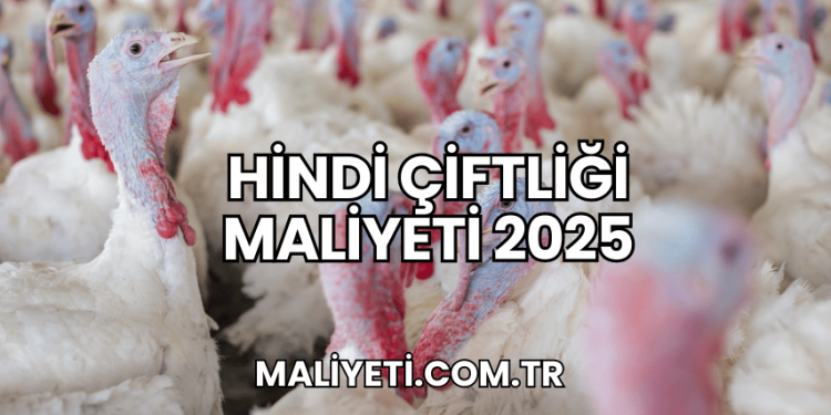 Hindi Çiftliği Maliyeti 2025