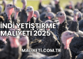 Hindi Yetiştirme Maliyeti 2025