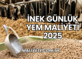İnek Günlük Yem Maliyeti 2025