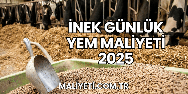 İnek Günlük Yem Maliyeti 2025