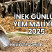 İnek Günlük Yem Maliyeti 2025