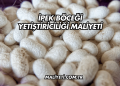 İpek Böceği Yetiştiriciliği Maliyeti