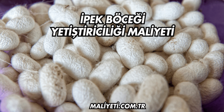 İpek Böceği Yetiştiriciliği Maliyeti