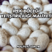 İpek Böceği Yetiştiriciliği Maliyeti