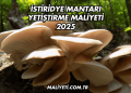 İstiridye Mantarı Yetiştirme Maliyeti 2025