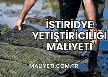 İstiridye Yetiştiriciliği Maliyeti