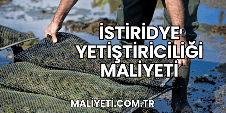 İstiridye Yetiştiriciliği Maliyeti