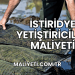 İstiridye Yetiştiriciliği Maliyeti