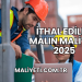 İthal Edilen Malın Maliyeti 2025
