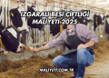 Izgaralı Besi Çiftliği Maliyeti 2025