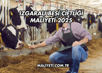 Izgaralı Besi Çiftliği Maliyeti 2025