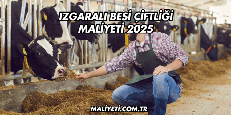 Izgaralı Besi Çiftliği Maliyeti 2025