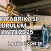 Kağıt Fabrikası Kurulum Maliyeti 2025