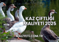 Kaz Çiftliği Maliyeti 2025