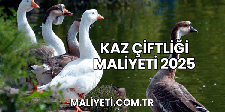 Kaz Çiftliği Maliyeti 2025