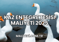 Kaz Entegre Tesisi Maliyeti 2025