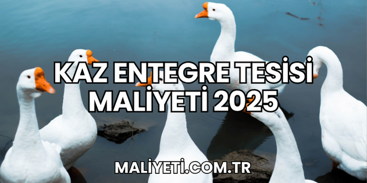 Kaz Entegre Tesisi Maliyeti 2025
