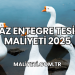 Kaz Entegre Tesisi Maliyeti 2025