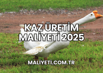 Kaz Üretim Maliyeti 2025