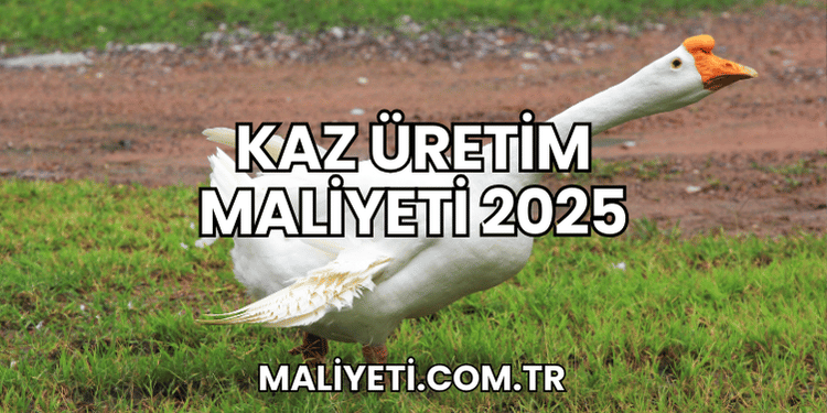 Kaz Üretim Maliyeti 2025