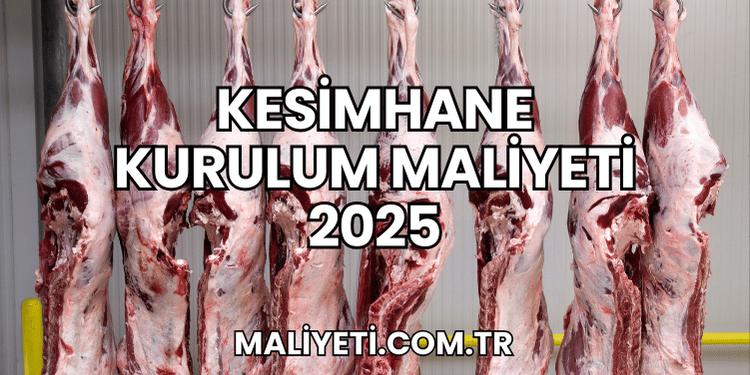 Kesimhane Kurulum Maliyeti 2025