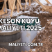 Keson Kuyu Maliyeti 2025