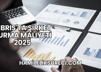 Kıbrıs'ta Şirket Kurma Maliyeti 2025