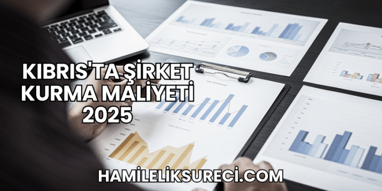 Kıbrıs'ta Şirket Kurma Maliyeti 2025
