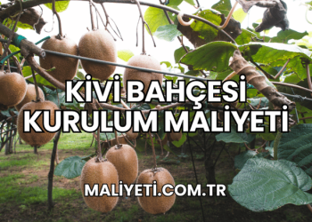Kivi Bahçesi Kurulum Maliyeti
