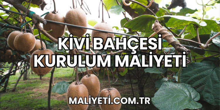 Kivi Bahçesi Kurulum Maliyeti