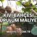 Kivi Bahçesi Kurulum Maliyeti