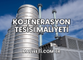 Kojenerasyon Tesisi Maliyeti