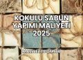 Kokulu Sabun Yapımı Maliyeti 2025