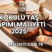 Kokulu Taş Yapımı Maliyeti 2025