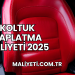 Koltuk Kaplatma Maliyeti 2025