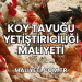 Köy Tavuğu Yetiştiriciliği Maliyeti