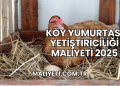 Köy Yumurtası Yetiştiriciliği Maliyeti 2025