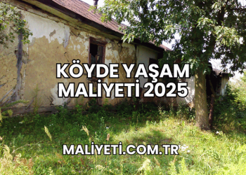 Köyde Yaşam Maliyeti 2025