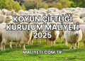 Koyun Çiftliği Kurulum Maliyeti 2025