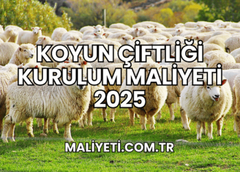 Koyun Çiftliği Kurulum Maliyeti 2025