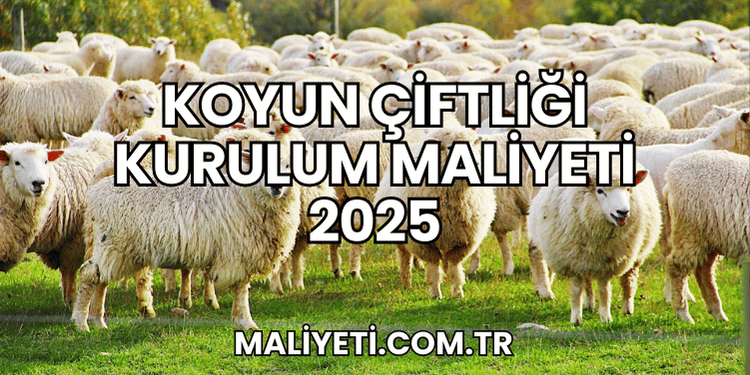 Koyun Çiftliği Kurulum Maliyeti 2025